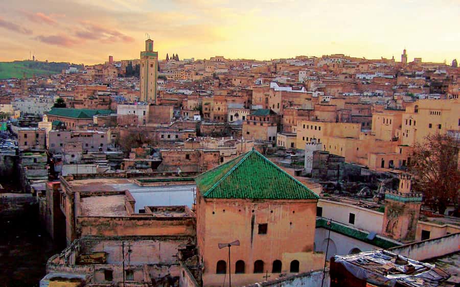 Fez: Half-Day Sightseeing Tour - Why a Guided Walk Helps in Fez Medina