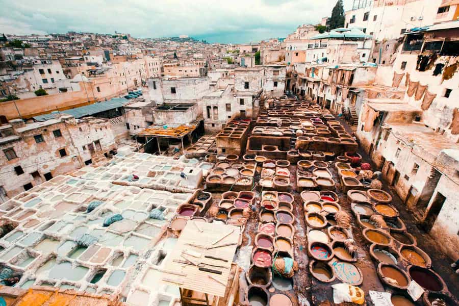 Fez: Half-Day Sightseeing Tour - From Bab Boujloud Into the Old City