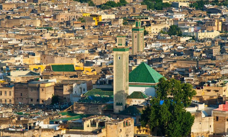 Fez: Half-Day Sightseeing Tour - Qaraouiyine Mosque and University