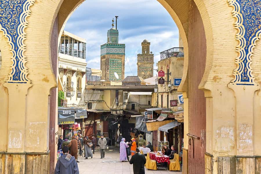 Fez: Half-Day Sightseeing Tour - The Fez Tannery: A Memorable, Strong-Smelling Stop
