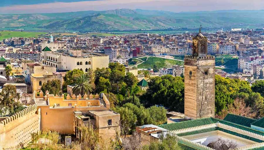 Fez: Half-Day Sightseeing Tour - What the Four Hours Feel Like
