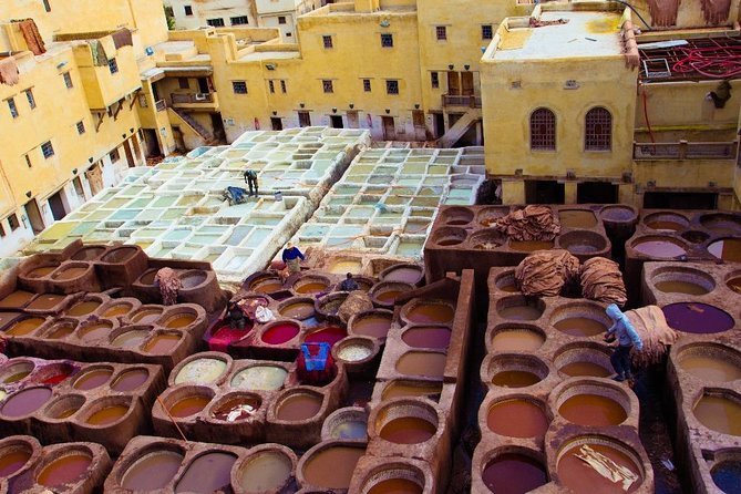 Fez Medina 4-Hour Guided Walking Tour - Dar Batha Museum during renovation