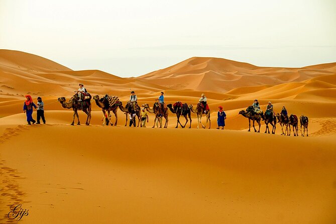 Fez to Marrakech via Merzouga Desert - 3 Day Desert Tour - Key points to know before booking