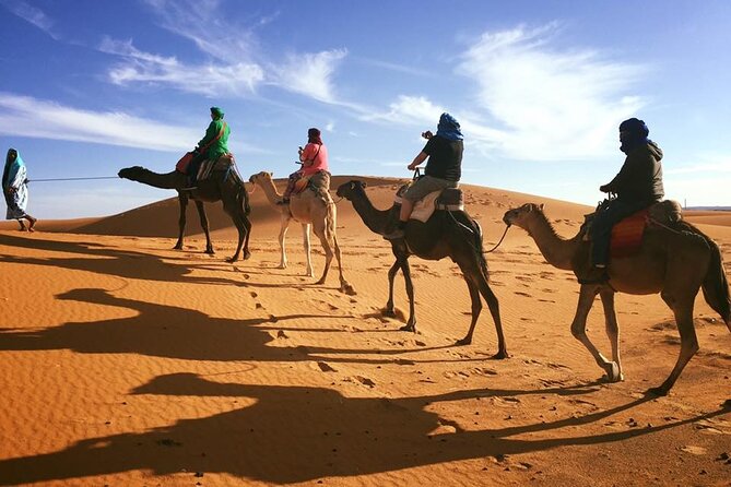 Fez to Marrakech via Merzouga Desert - 3 Day Desert Tour - From Fez to the cedar forests of Azrou