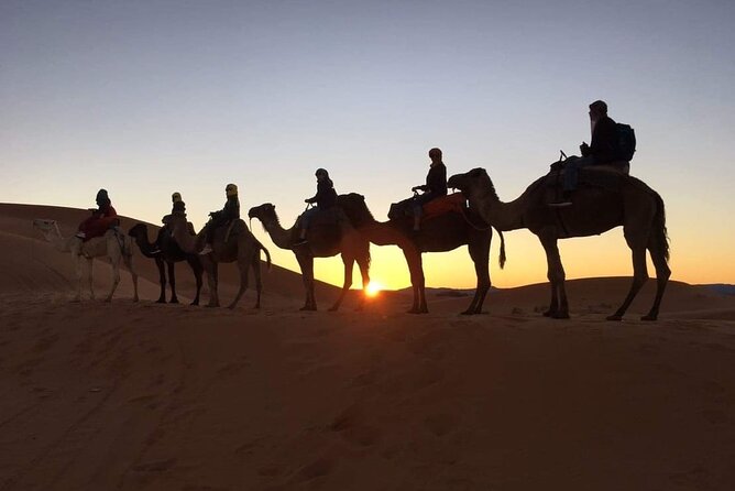 Fez to Marrakech via Merzouga Desert - 3 Day Desert Tour - Sunset camels and a night in the Merzouga desert