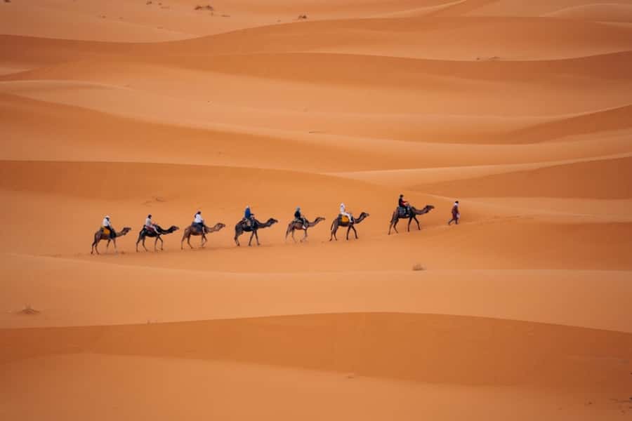 From Agadir: 3-Day Desert Tour to Marrakech - Should you book it?