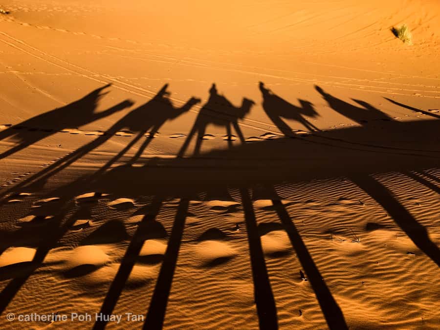 From Agadir: 4×4 Jeep Sahara Desert Tour with Lunch - Riding out from Agadir in a 4x4