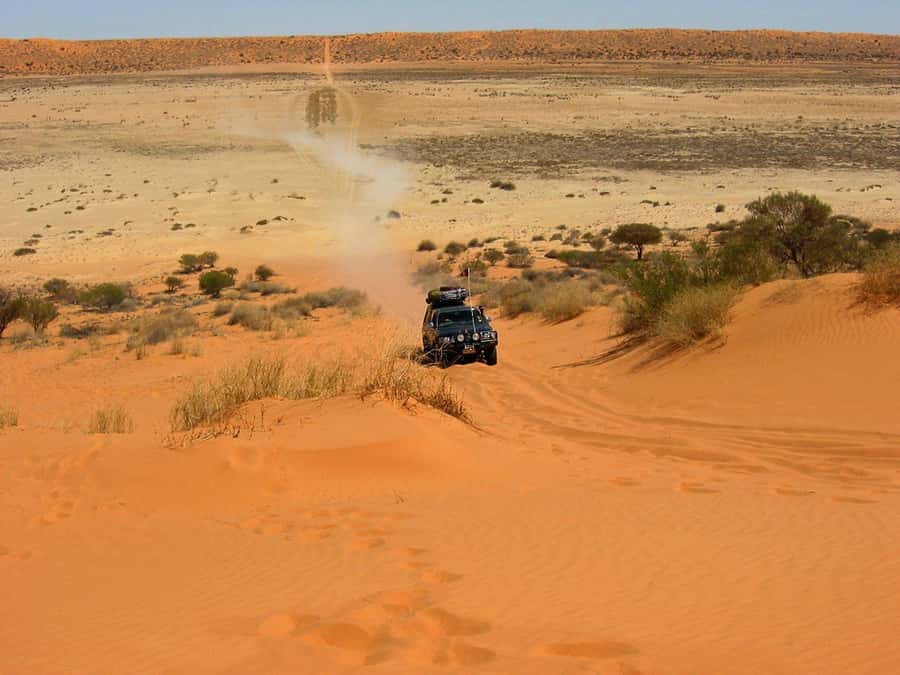 From Agadir: 4×4 Sahara Desert Safari with Lunch and Pickup - Oued Massa and the Souss-Massa National Park