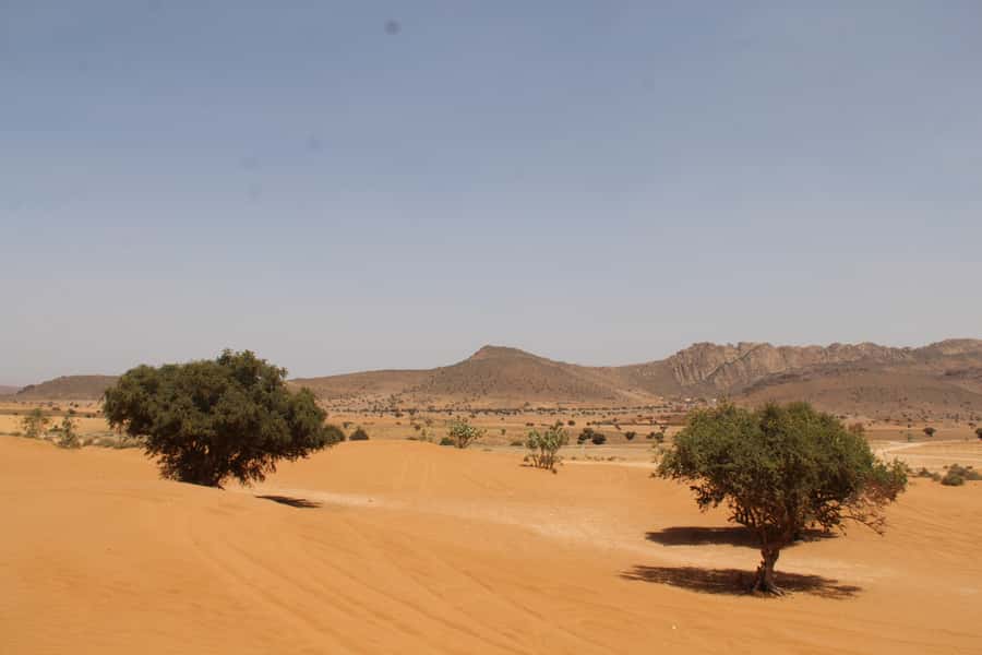 From Agadir: 4×4 Sahara Desert Safari with Lunch and Pickup - Timing, comfort, and the shape of the day