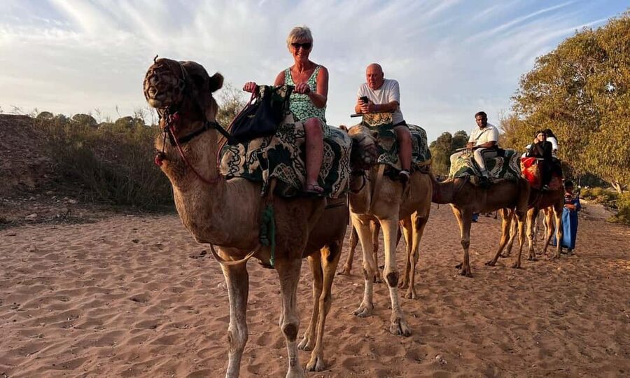 From Agadir: Camel Ride and Flamingo Trek - Riding out from Agadir toward the Souss river