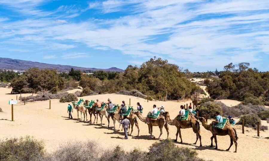 From Agadir: Camel Ride and Flamingo Trek - The flamingo question, with realistic expectations
