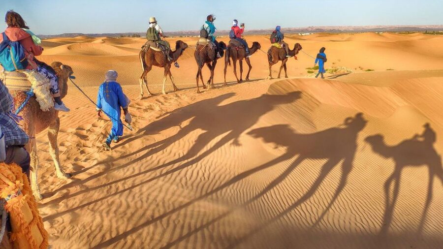 From Agadir: Camel Ride and Flamingo Trek - The return courtyard and Moroccan mint tea