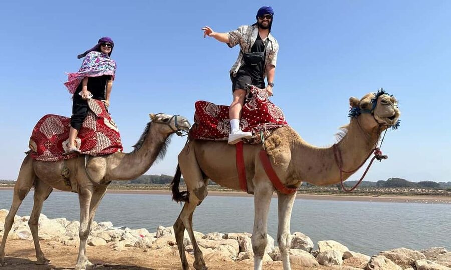 From Agadir: Camel Ride and Flamingo Trek - Is this a good family activity?