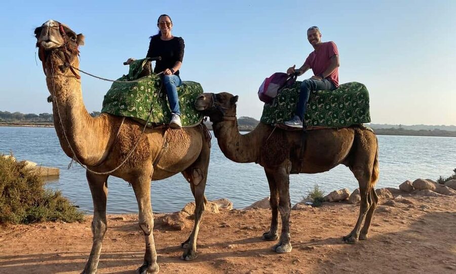 From Agadir: Camel Ride and Flamingo Trek - Animal care and the local setting