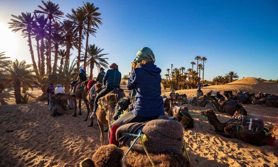 From Agadir: Camel Ride and Flamingo Trek - Who should book this camel ride?