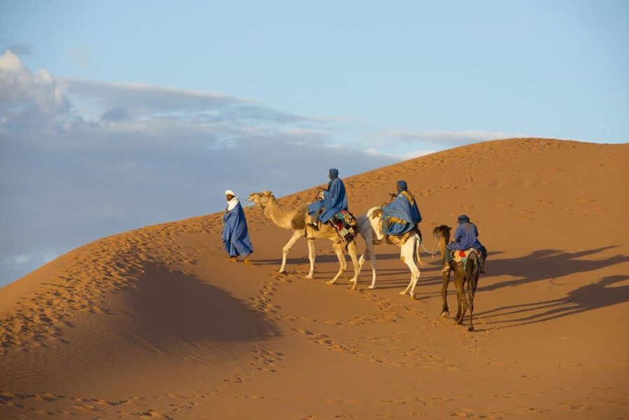 From Agadir: Camel Ride and Flamingo Trek - Booking details worth knowing