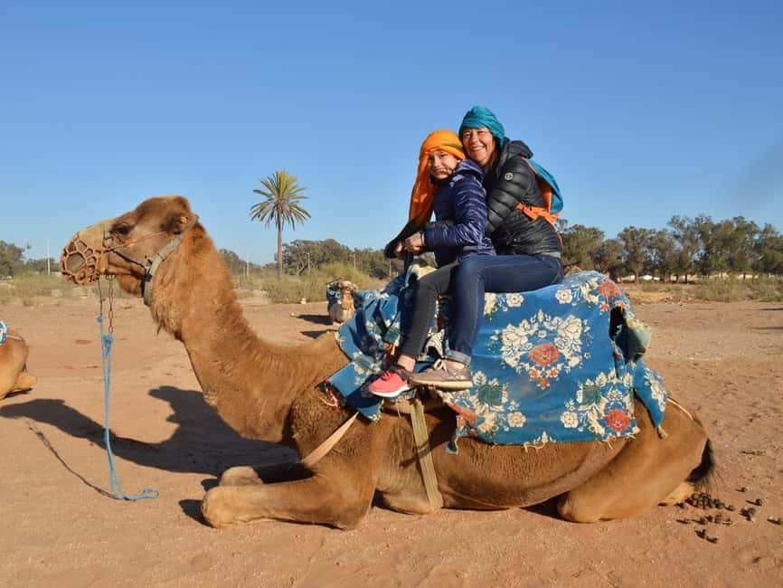 From Agadir: Camel Ride and Flamingo Trek - What the camel ride really feels like