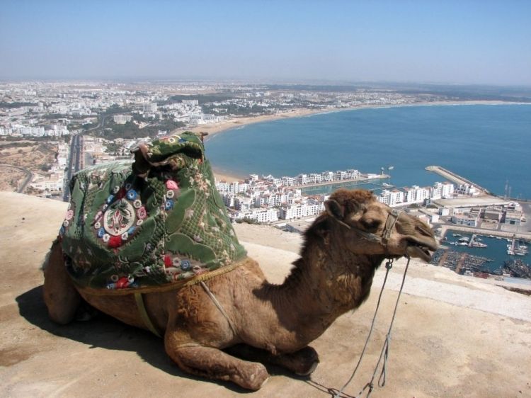 From Agadir: City Tour with Hotel or Port Transfers - Kasbah Oufella and the best city view
