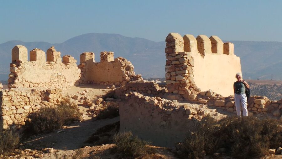 From Agadir: City Tour with Hotel or Port Transfers - Souk El Had: one hour to browse and bargain