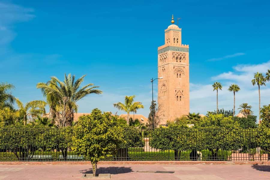 From Agadir: Guided Day Trip to Marrakech - Should you book the Agadir to Marrakech tour?