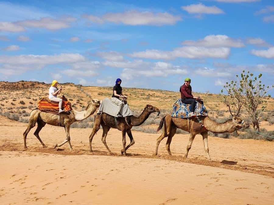 From Agadir: Jeep Desert Safari with Lunch and Camel Ride - Who should book this trip