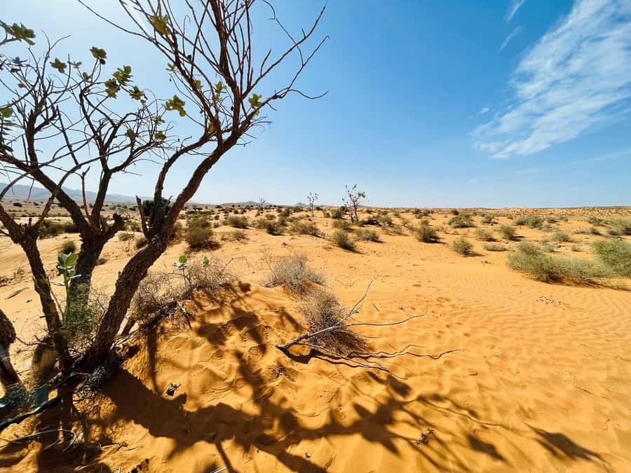 From Agadir: Jeep Desert Safari with Lunch and Camel Ride - Fishermen’s caves and Sidi Rbat beach