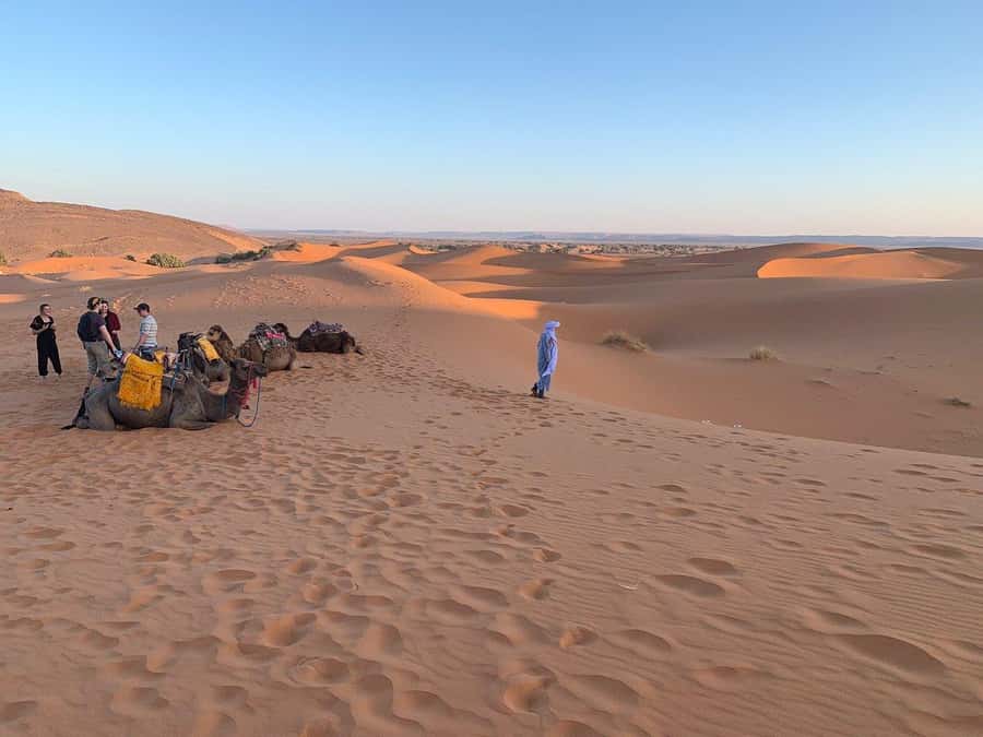From Agadir: Jeep Desert Safari with Lunch and Camel Ride - Tiznit, silverwork, and Moroccan ceramics