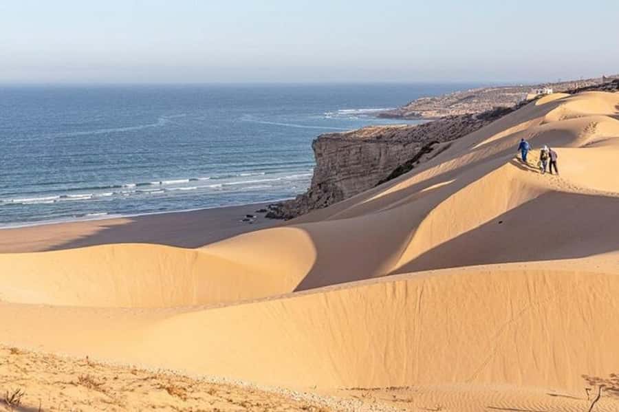 From Agadir: Jeep Desert Safari with Lunch and Camel Ride - The camel ride and the so-called Sahara stop