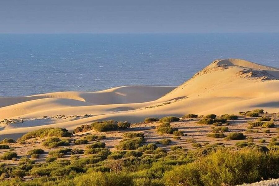 From Agadir: Jeep Desert Safari with Lunch and Camel Ride - Youssef Ben Tachfine reservoir
