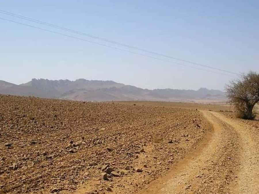 From Agadir: Mini Sahara Day Tour with Lunch - Birds and the Souss Massa River