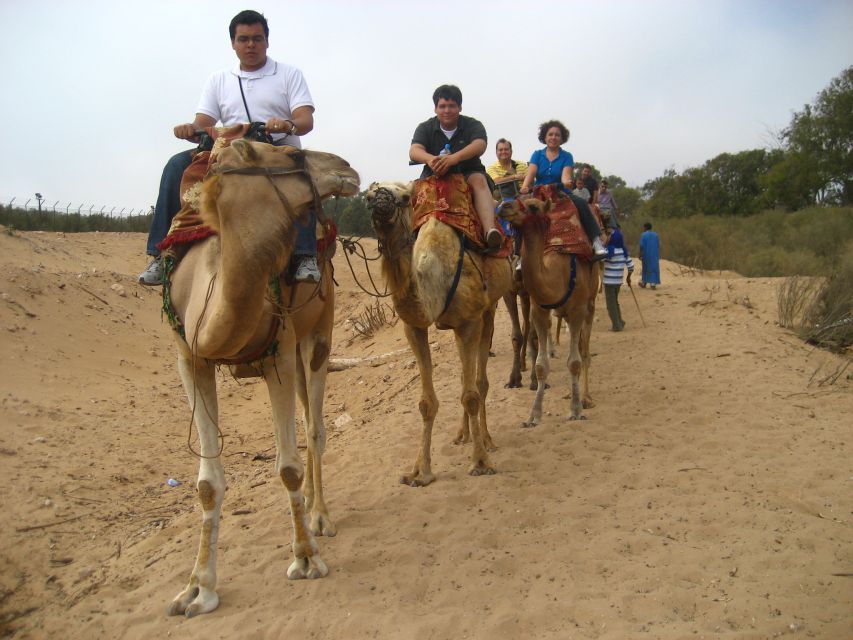 From Agadir or Taghazout: Camel Ride Berber Tour Experience - Should you book the Souss River camel ride?
