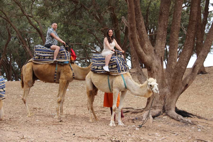 From Agadir or Taghazout: Camel Ride Berber Tour Experience - Through the eucalyptus trees toward the Souss River