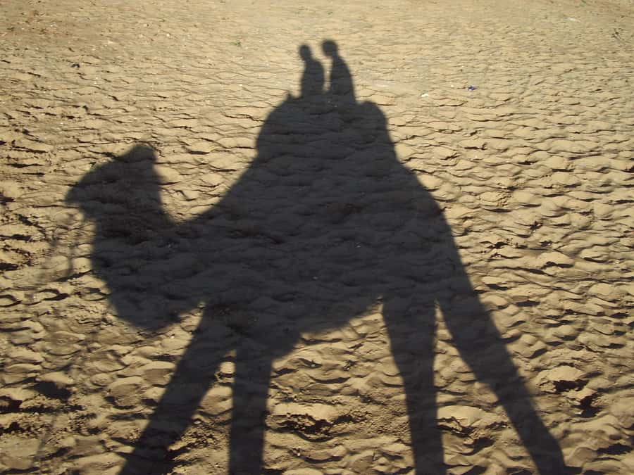 From Agadir or Taghazout: Camel Ride Berber Tour Experience - Flamingos at the estuary, with realistic expectations