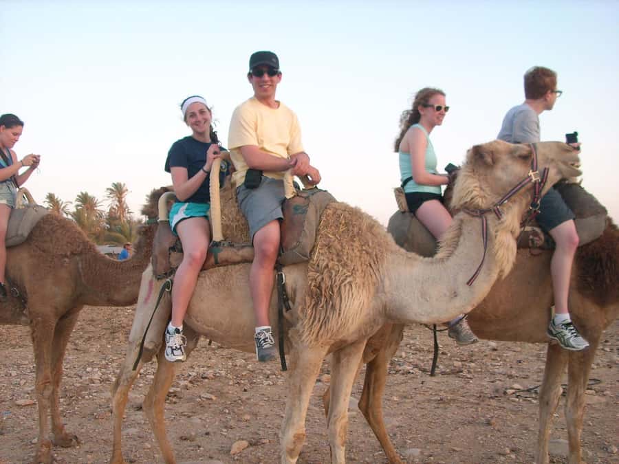 From Agadir or Taghazout: Camel Ride Berber Tour Experience - Choosing between morning, afternoon, and sunset
