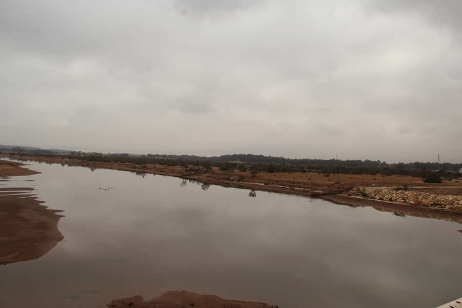 From Agadir or Taghazout: Camel Ride Berber Tour Experience - Who should book this camel tour