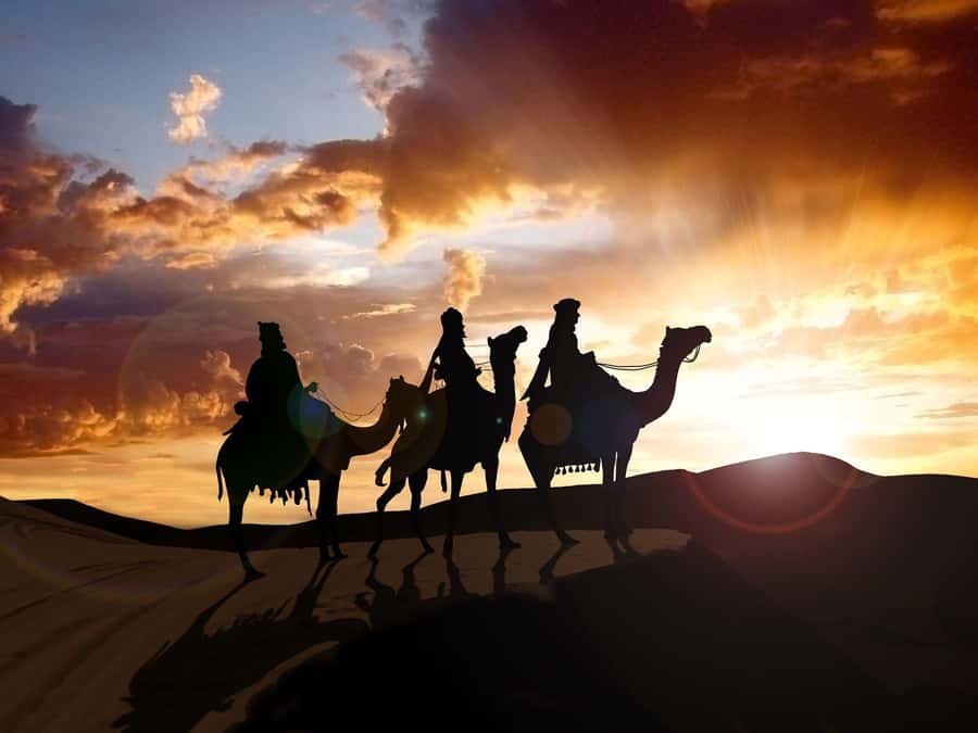 From Agadir or Taghazout: Camel Ride Berber Tour Experience - Mounting the camels and settling into the rhythm