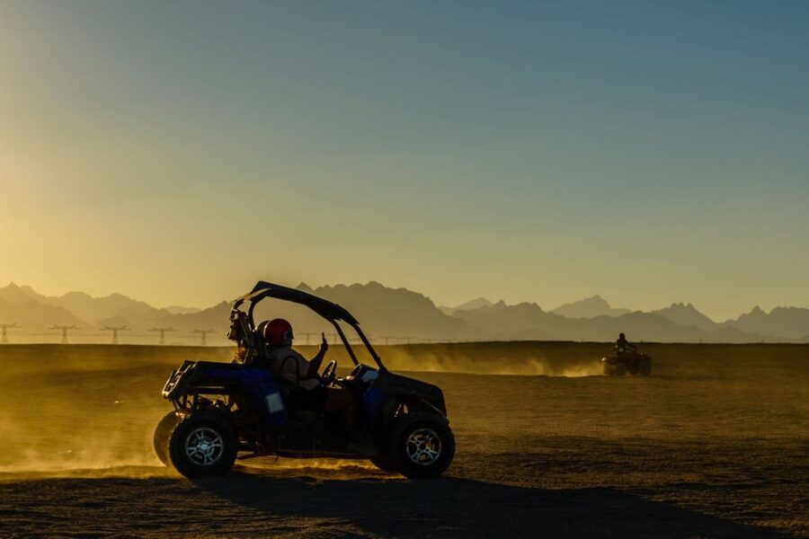 From Agadir or Taghazout: Desert Dunes Buggy Tour - Argan and fig forests, with a slower view of rural Morocco