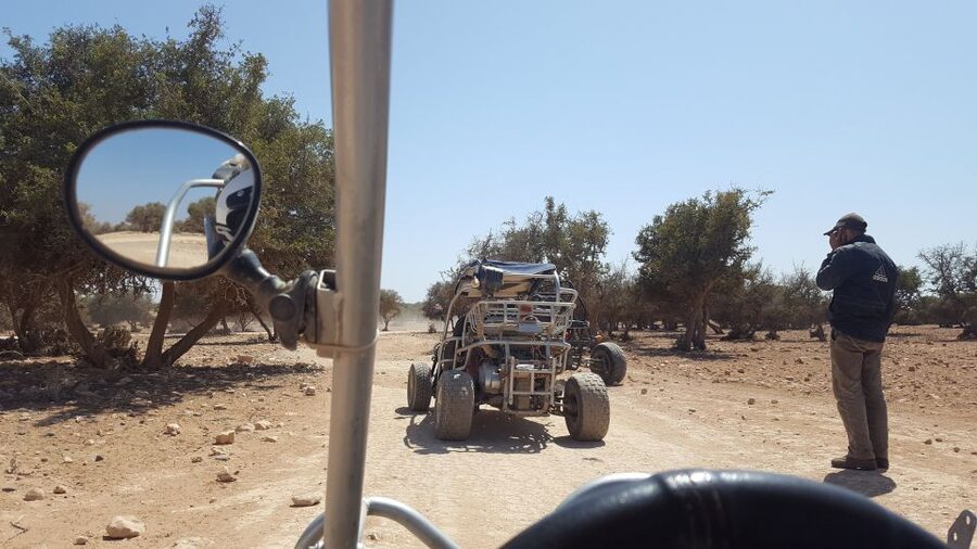 From Agadir or Taghazout: Desert Dunes Buggy Tour - Sand dunes and the sandy argan forest