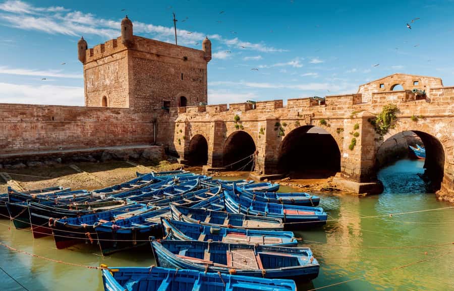 From Agadir or Taghazout : Essaouira Day Trip - Key points to know before booking