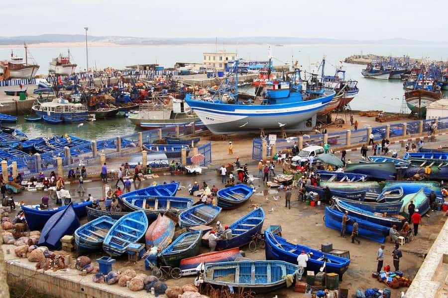 From Agadir or Taghazout : Essaouira Day Trip - Why Essaouira makes a worthwhile day trip from Agadir
