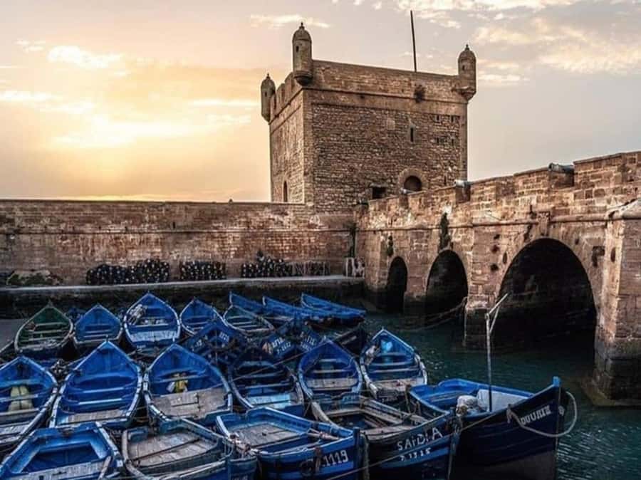 From Agadir or Taghazout : Essaouira Day Trip - Walking the Skala de la Ville sea bastion