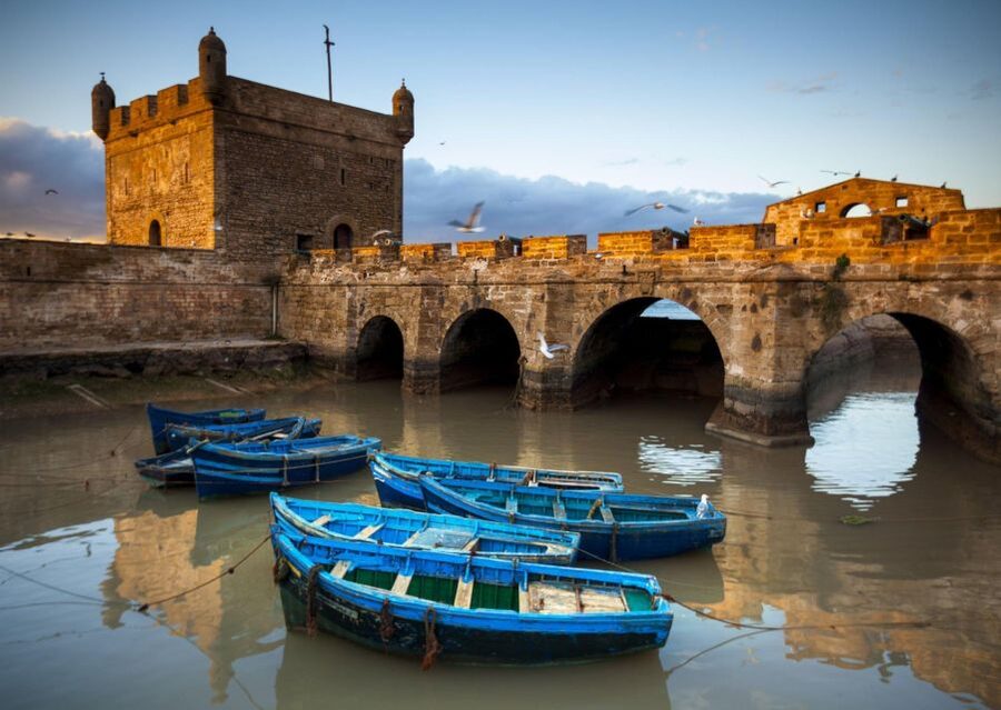 From Agadir or Taghazout: Essaouira Day Trip with Transfer - Should you book this Essaouira day trip?