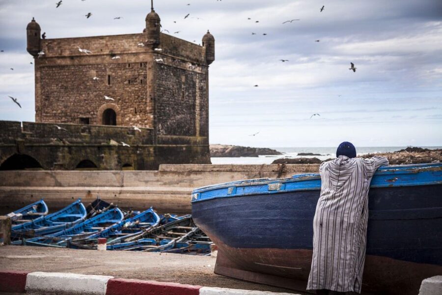 From Agadir or Taghazout: Essaouira Day Trip with Transfer - Choosing between beach, port, and lunch