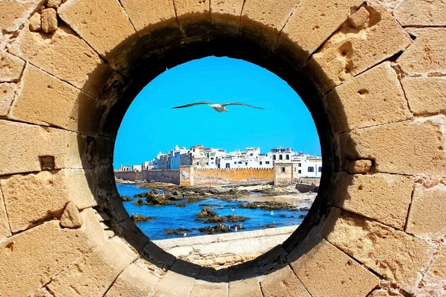 From Agadir or Taghazout: Essaouira Day Trip with Transfer - Who will enjoy this long coastal day