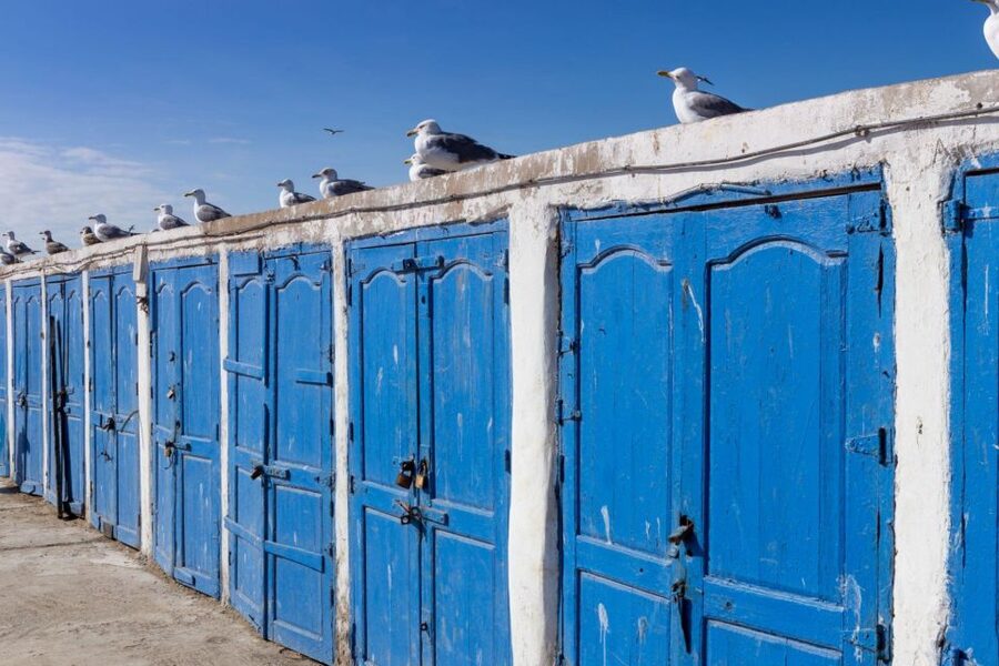 From Agadir or Taghazout: Essaouira Day Trip with Transfer - Practical tips for making the day work