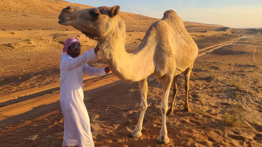 From Agadir: Sahara Desert Day Trip and Camel Ride - Key things to know before you book