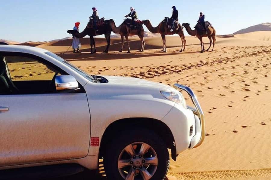 From Agadir: Souss-Massa National Park Tour with Lunch - The 4WD animal drive