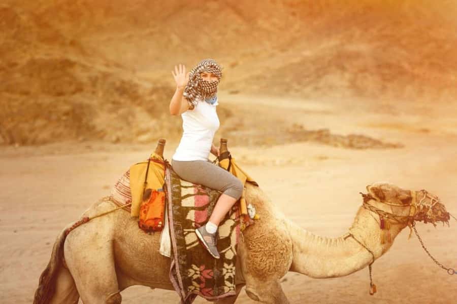 From Agadir: Souss River Camel Ride - A quiet camel ride outside Agadir