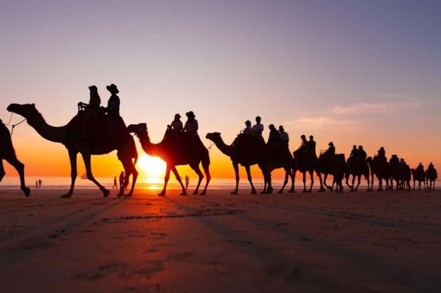 From Agadir: Souss River Camel Ride - Should you book the Souss River camel ride?
