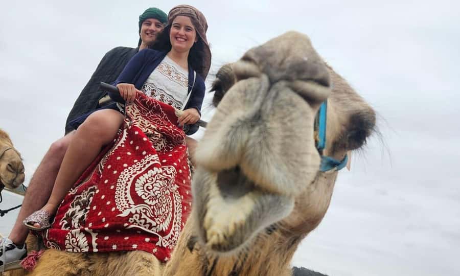 From Agadir: Souss River Camel Ride - Through eucalyptus forest and along the Souss River